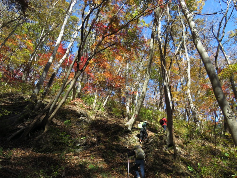 奥久慈・男体山